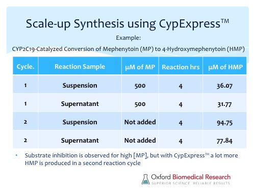 Slide 13